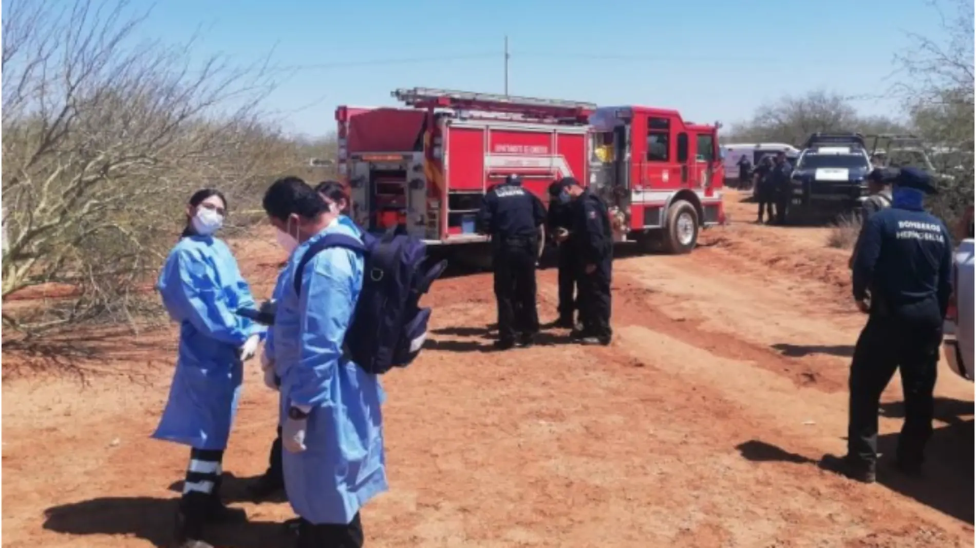 Se desploma avioneta donde viajaba subsecretario de Economía de Sonora